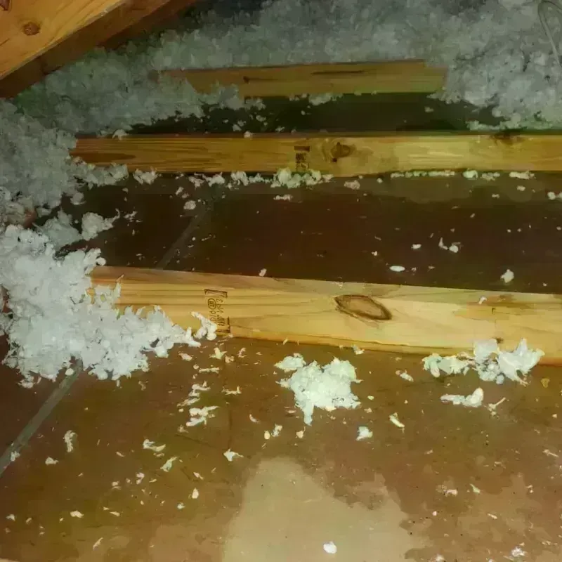 Attic Water Damage in Keytesville, MO