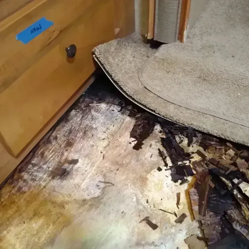 Best Wood Floor Water Damage Service in Keytesville, MO